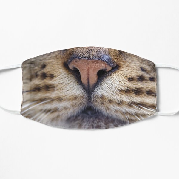 Kitty Cat Face Mask Mask