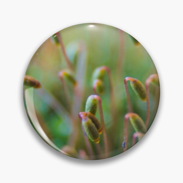 Item preview, Macro Of Moss designed and sold by LynyrdSky.