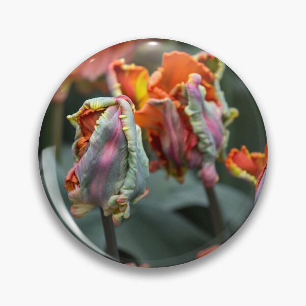Item preview, Frazzled Tulips designed and sold by Cvail73.