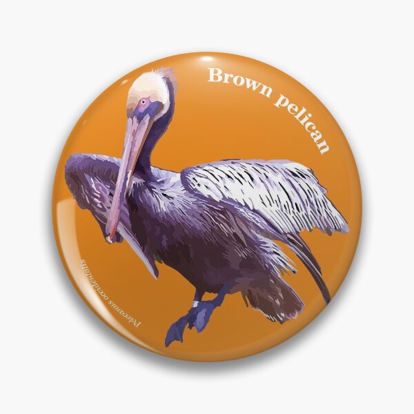 Item preview, Brown pelican late in the afternoon designed and sold by Mauricio Acosta.