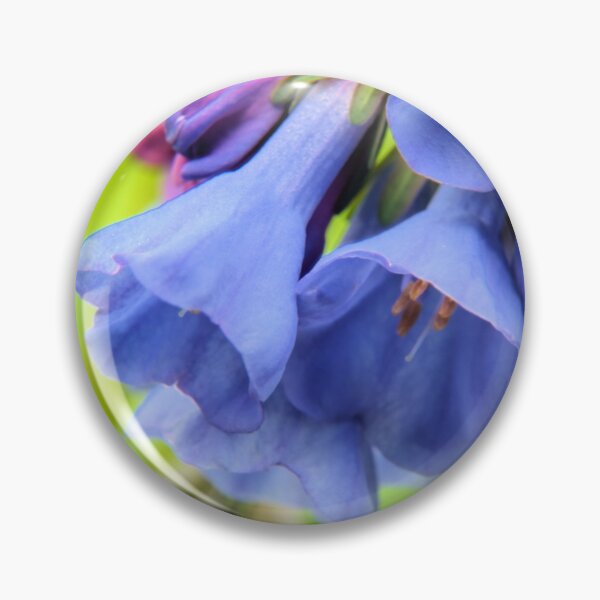 Artikelvorschau, Bluebell Macro 4 entworfen und verkauft von LynyrdSky.