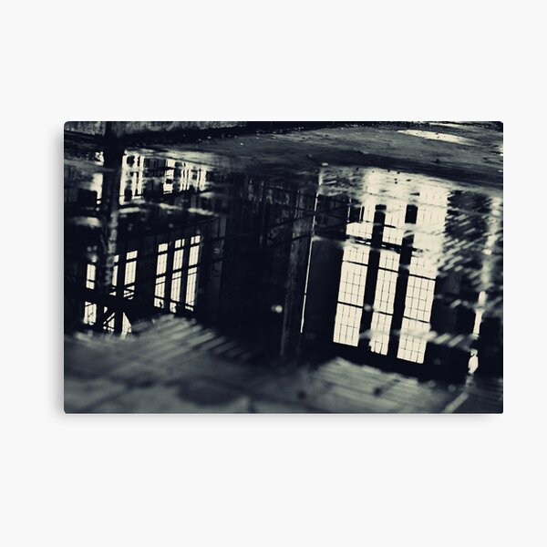 Altered Perceptions Canvas Print