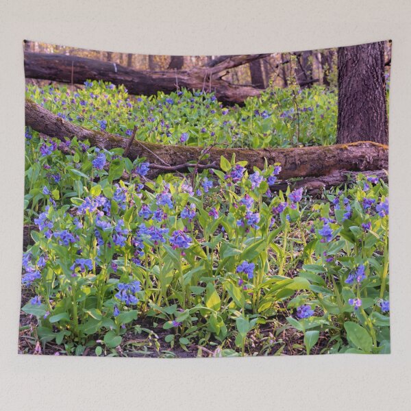 Item preview, Blue Woods designed and sold by LynyrdSky.
