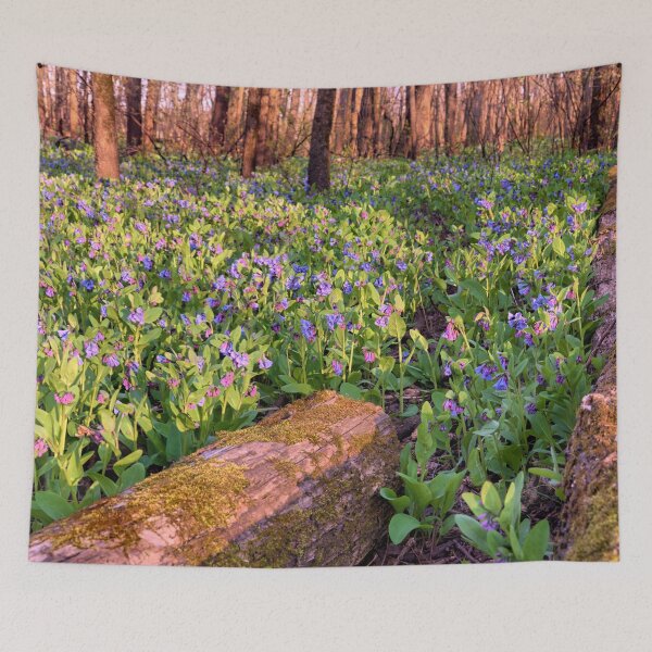 Item preview, Blue Woods 2 designed and sold by LynyrdSky.