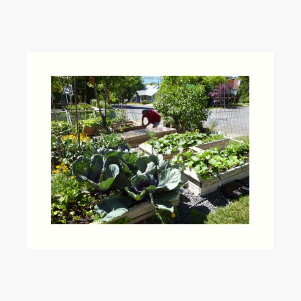 the gardenier Art Print