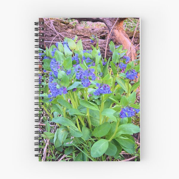 Item preview, Bluebell Woods 2 designed and sold by LynyrdSky.
