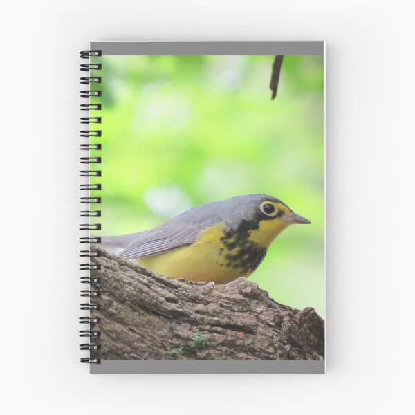 Item preview, Canada Warbler designed and sold by Zoo and Nature Photography by Karie.