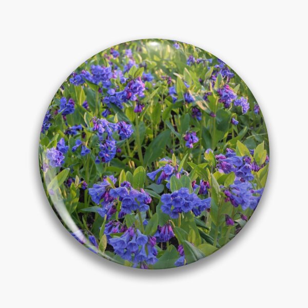 Item preview, Bluebell Woods designed and sold by LynyrdSky.
