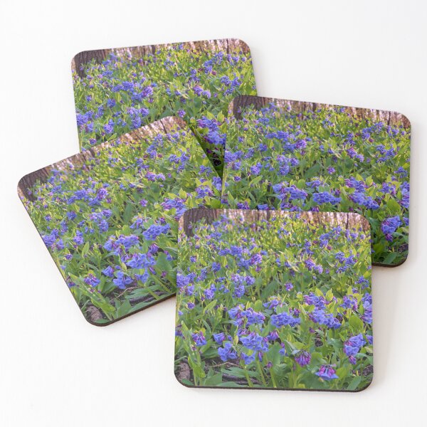 Item preview, Bluebell Woods designed and sold by LynyrdSky.