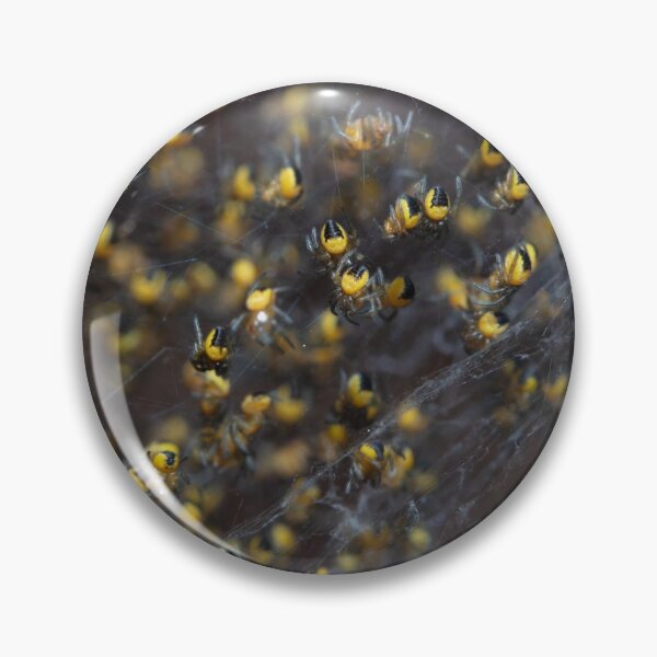 Item preview, Baby spiders designed and sold by Sam Mitchell.