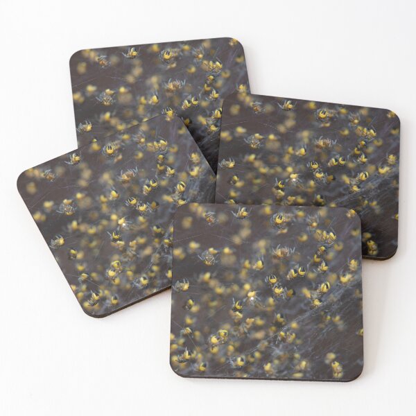Item preview, Baby spiders designed and sold by Sam Mitchell.