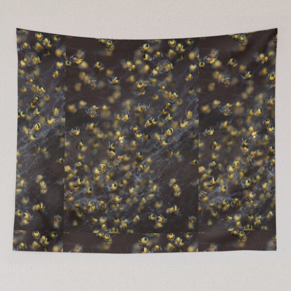 Item preview, Baby spiders designed and sold by Sam Mitchell.