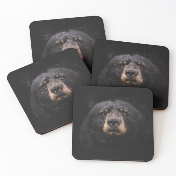 Item preview, Spirit Bear designed and sold by Aeroplane Tees.