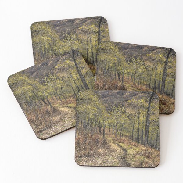 Item preview, Lazy Moose Trail - Hiking in Alaska designed and sold by Ian Christopher.