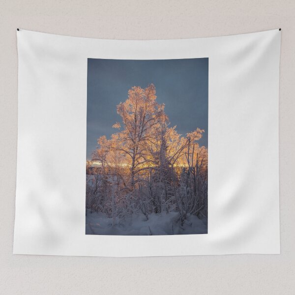 Item preview, Golden tree of an Alaskan Winter Sunrise designed and sold by Ian Christopher.
