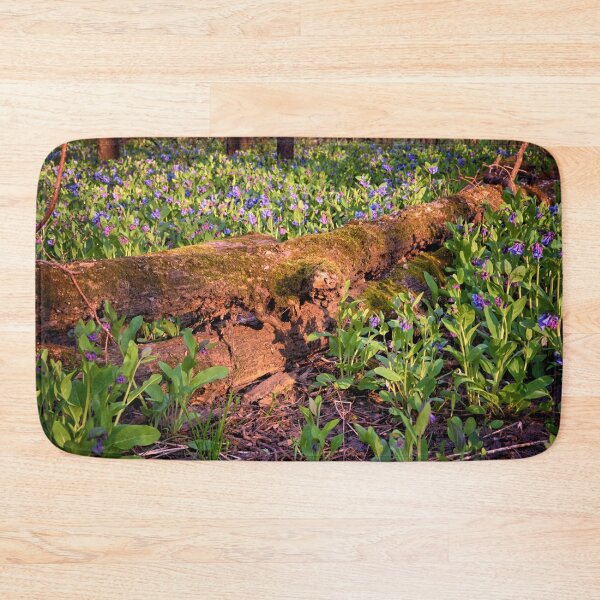 Item preview, Decorative Spring 3 designed and sold by LynyrdSky.