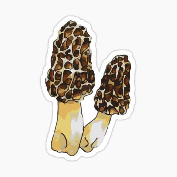 Morel Mushroom Sticker