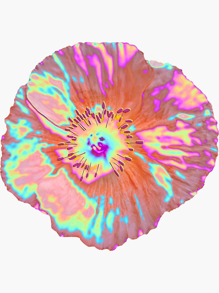 Thumbnail 3 of 3, Sticker, Iridescent Icelandic Poppy designed and sold by dinaaaaaah.