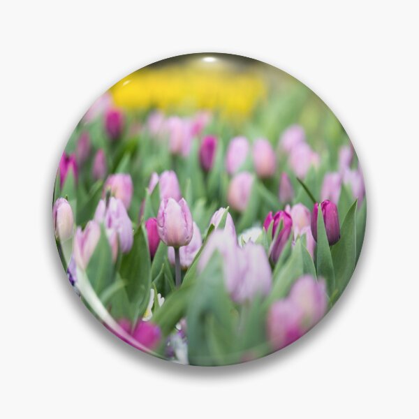 Item preview, Tulipanes en foco en un campo designed and sold by Cvail73.