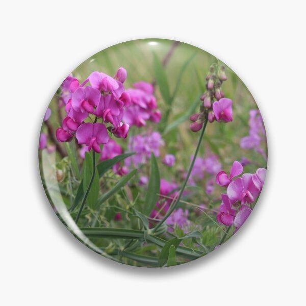 Item preview, Wild Sweetpeas designed and sold by debfaraday.