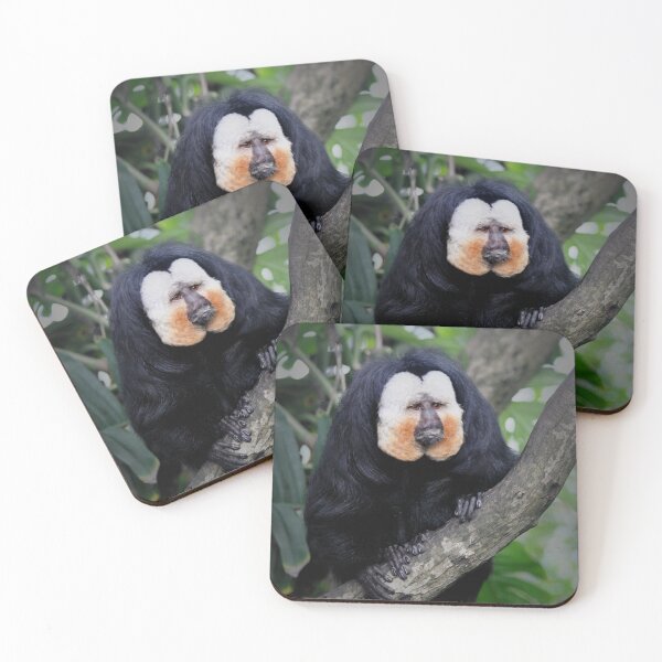 Item preview, Saki Monkey designed and sold by Savannah Gibbs.