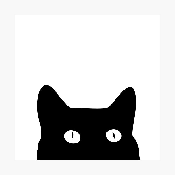 Black Cat Photographic Print