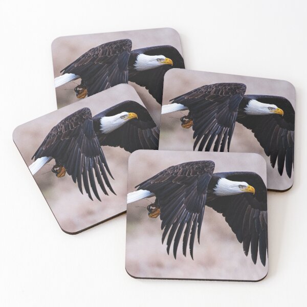 Item preview, Bird of Prey designed and sold by Aeroplane Tees.