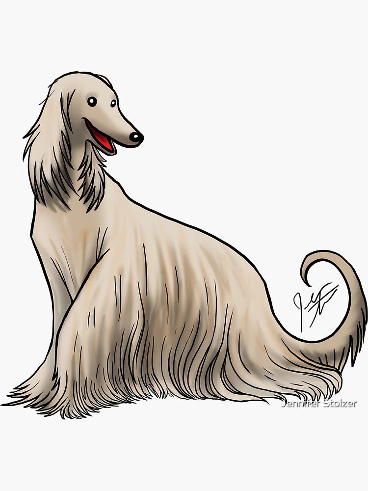 Afghan Hound by jameson9101322