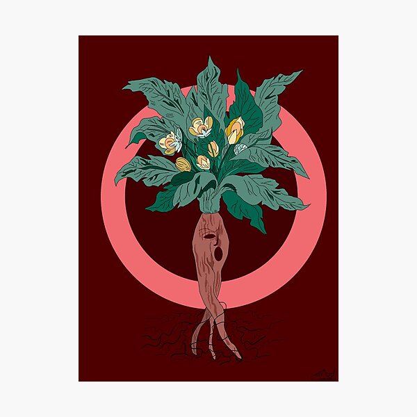 Item preview, Mandragora designed and sold by MouneShoes.