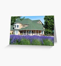 Purple Ridge Lavendar Farm Greeting Card