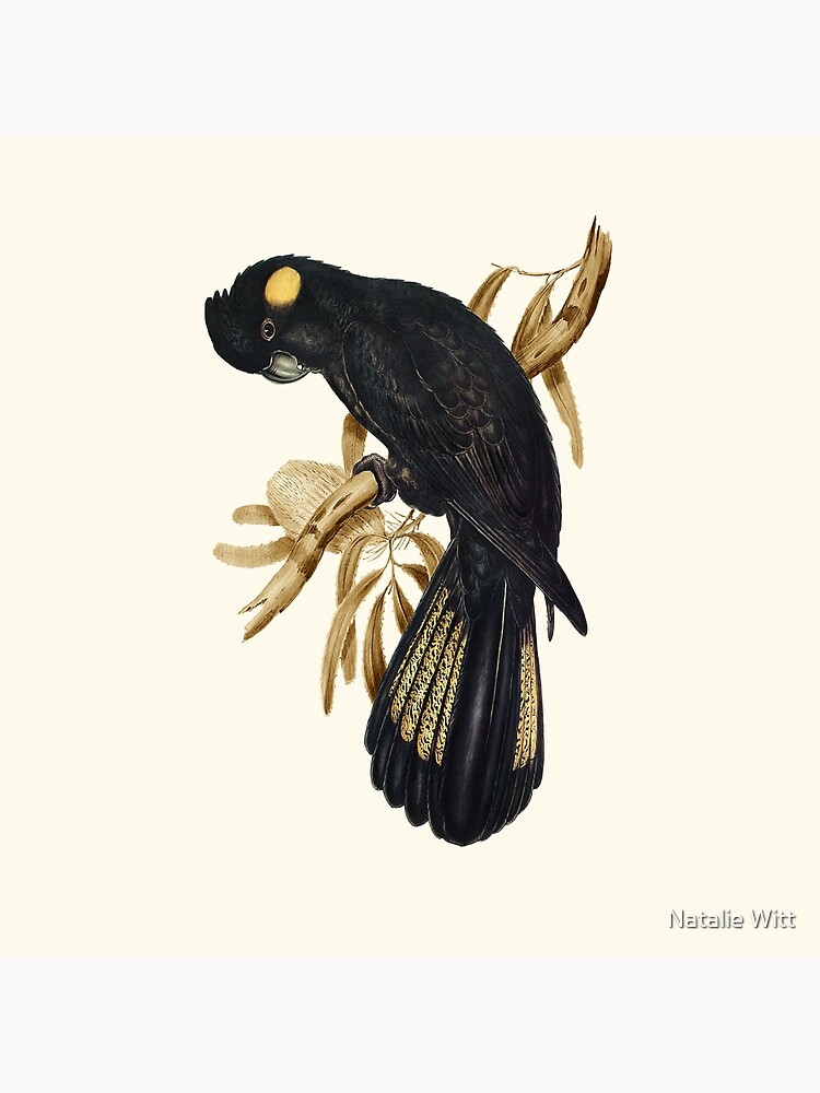 Thumbnail 4 of 4, Pillow, Yellow-tailed Black Cockatoo designed and sold by hycfts-Art0002.