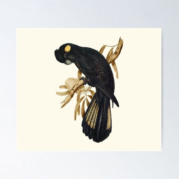Item preview, Yellow-tailed Black Cockatoo designed and sold by Natalie Witt.