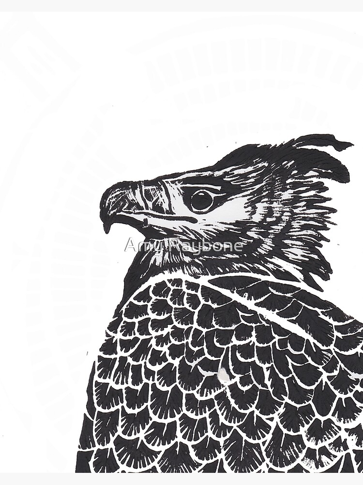 Lámina rígida «Impresión de Lino de águila arpía» de AmyRaybone101 |  Redbubble