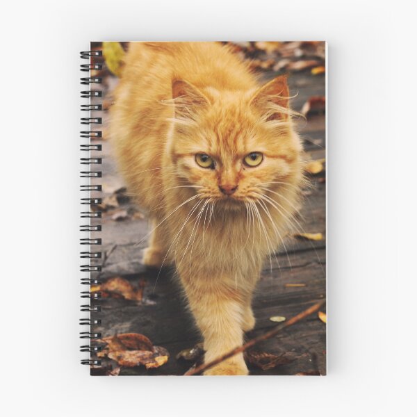 Item preview, red cat on a background of autumn designed and sold by FoxsJob.