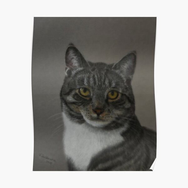Grey Cat Poster