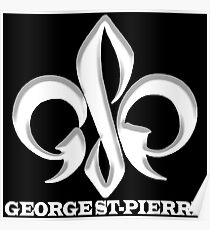 Georges St-Pierre Mixed Martial Arts GSP MMA UFC Champions Poster