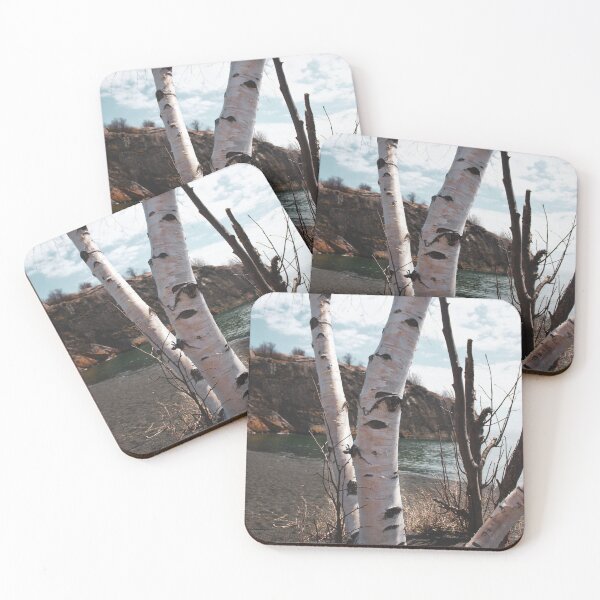 Item preview, birch designed and sold by brookejean88.