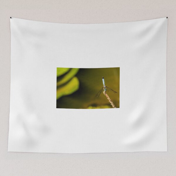 Item preview, Dragonfly designed and sold by LudaNayvelt.