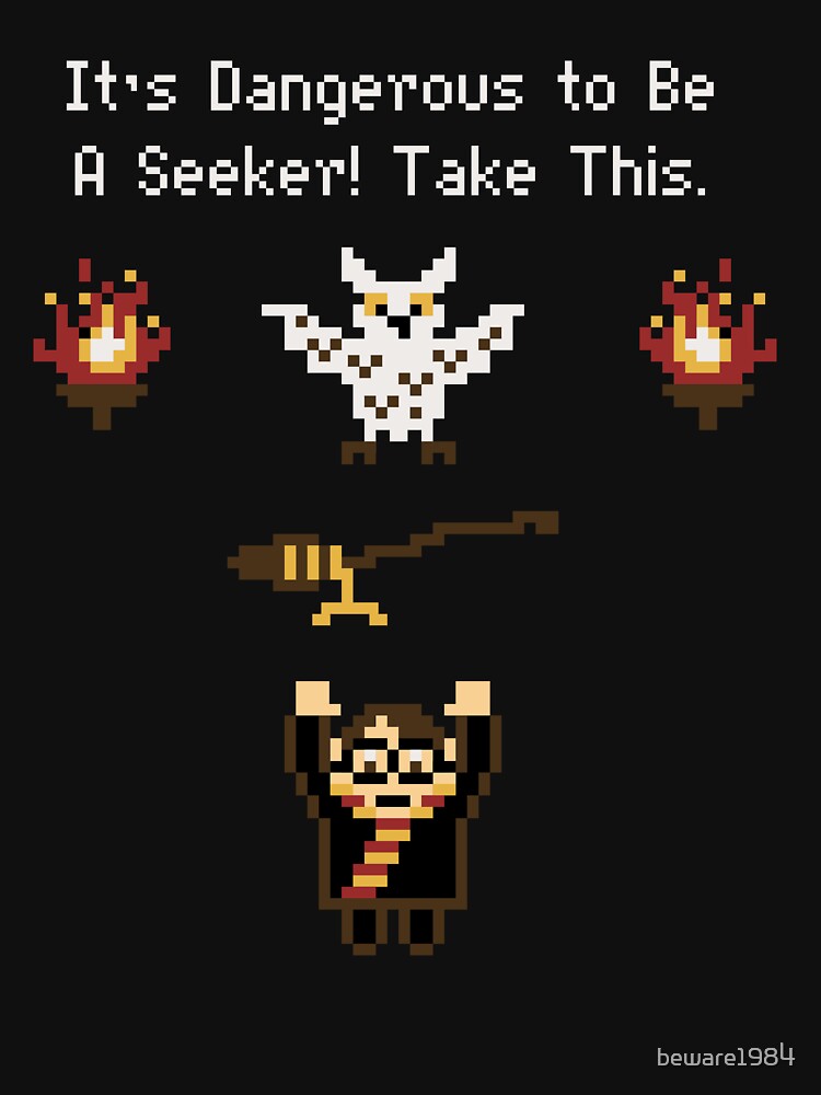 A Seeker's Quest by beware1984