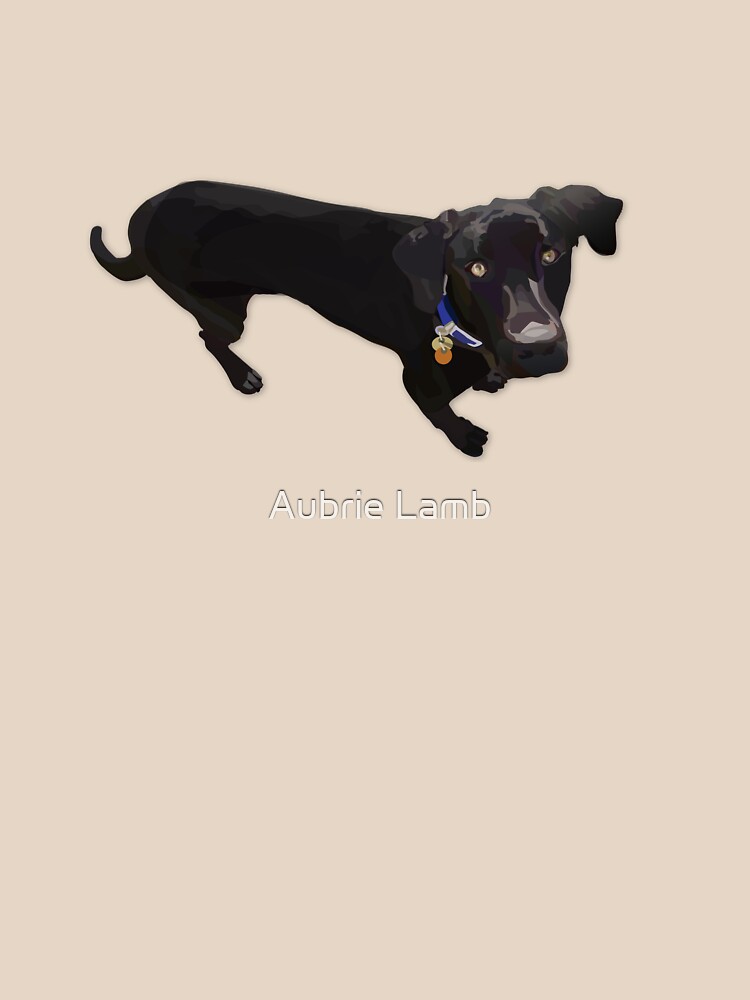 Black Lab Mix by Aubb