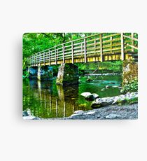 lake placid HDR Metal Print