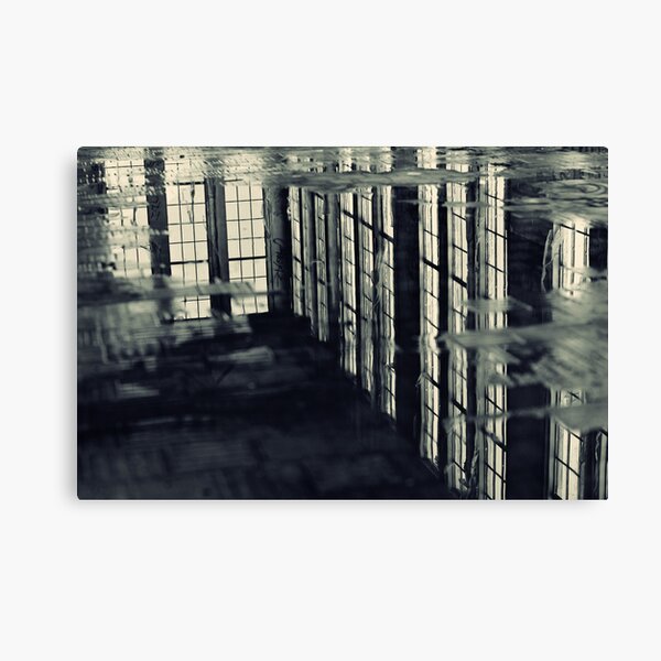 Altered Perceptions II Canvas Print