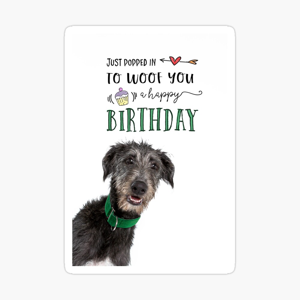 Scottish Deerhound Birthday Greeting Card By Houndpixnz Redbubble