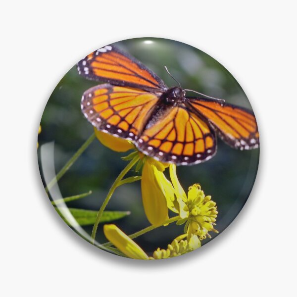 Item preview, Viceroy Butterfly on Tickseed designed and sold by mark-bugs-org.
