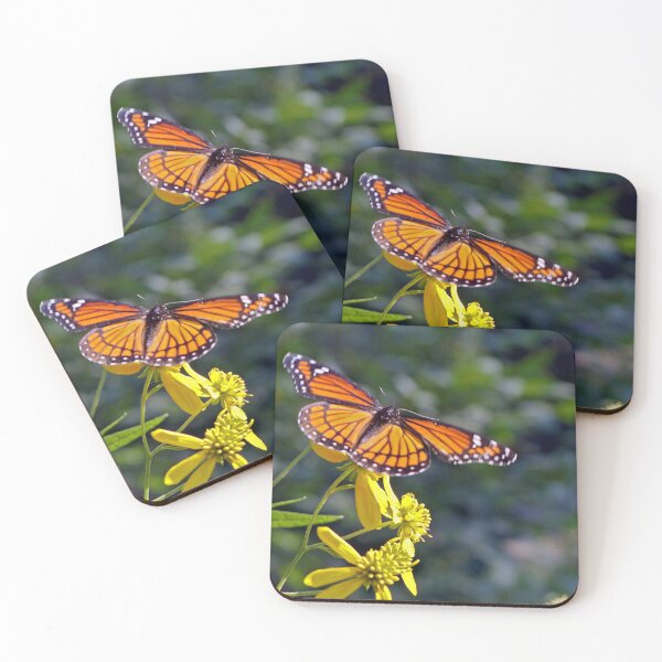 Item preview, Viceroy Butterfly on Tickseed designed and sold by mark-bugs-org.