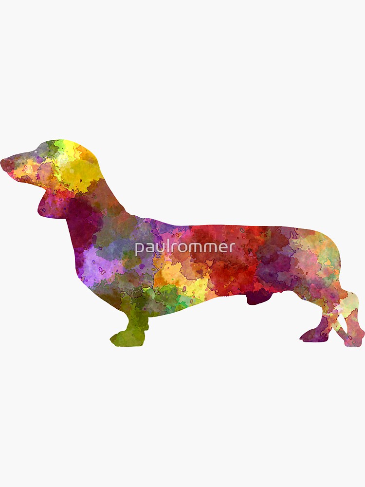 Dachshund in watercolor by paulrommer