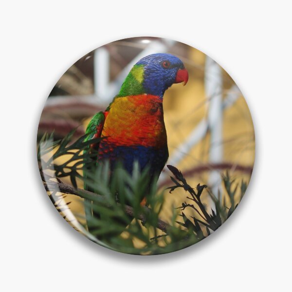 Item preview, Parrot on Point designed and sold by KazM.