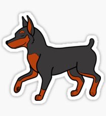 Black Miniature Pinscher Sticker