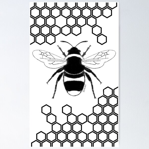 Hexagon Honey Comb Pattern Stencil - Etsy