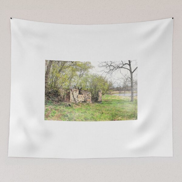 Item preview, "Ruins At The Edge Of The Pond" designed and sold by wiscbackroadz.